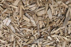 biomass boilers Tangasdal